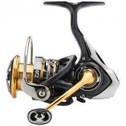 Coarse & Match Daiwa 17 Exceler LT