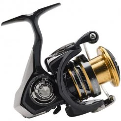 Coarse & Match Daiwa 17 Exceler LT