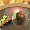 Korda Rubber Bead Carp & Specialist