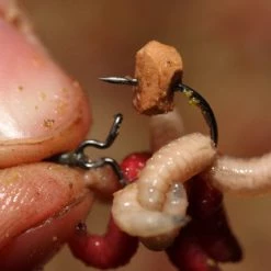 Korda Maggot Klip Carp & Specialist